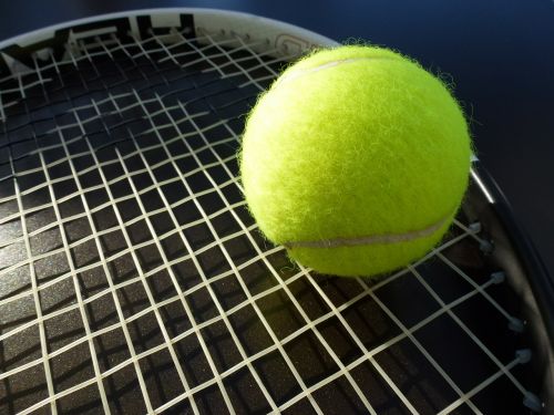 tennis tennis ball tennis racket