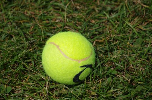 tennis ball game tennis
