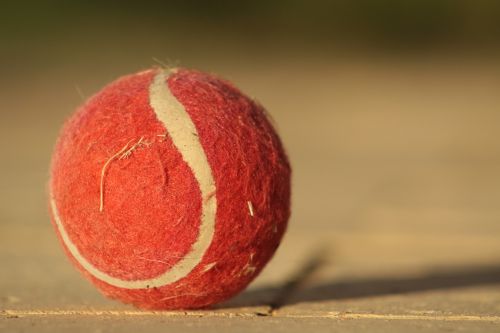 tennis ball ball red
