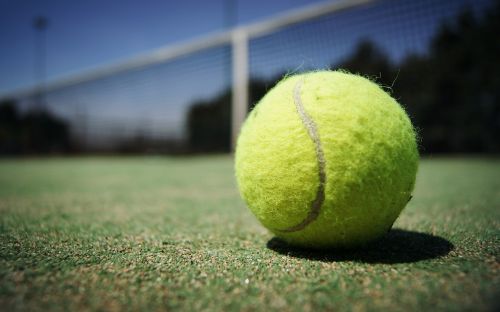 tennis ball macro court