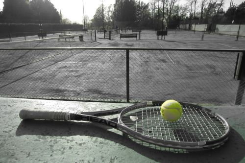 tennis sport tennis ball