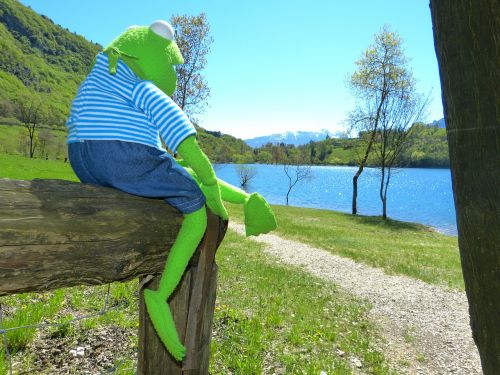 tenno lake kermit frog