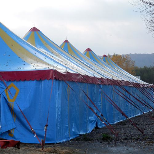 tent circus circus tent