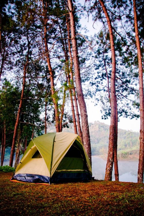 tent camp nature