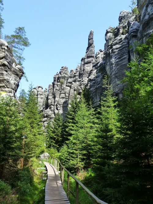 teplice rocks nature forest