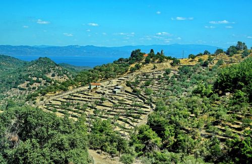 terrace cultivation terrace greece