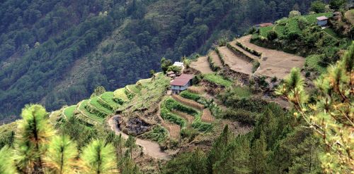 terraces sagada philippines
