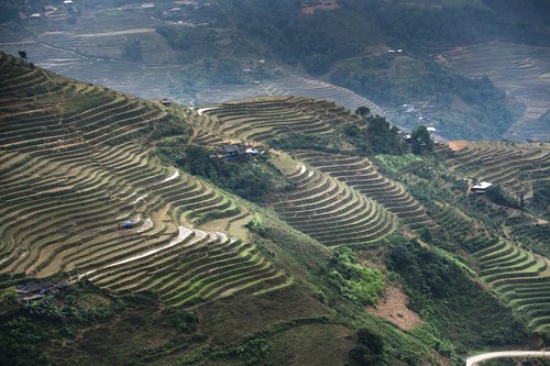 terraces  scenery  son la