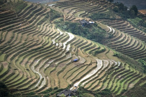 terraces  scenery  son la