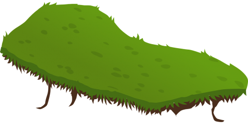 terrain grass green