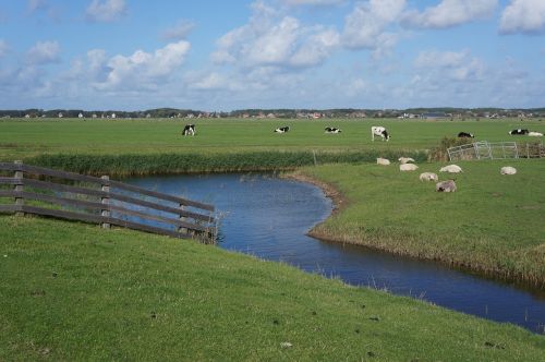 terschellinger polder at groin terschelling polder