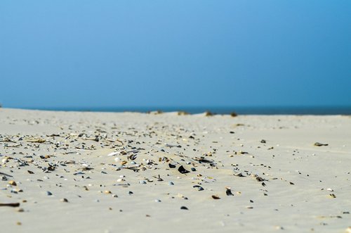 terschelling  beach  blue