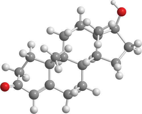 testosterone organic chemistry hormones