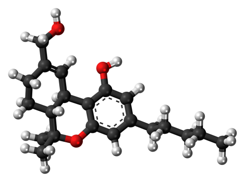 tetrahydrocannabinol metabolite hydroxy