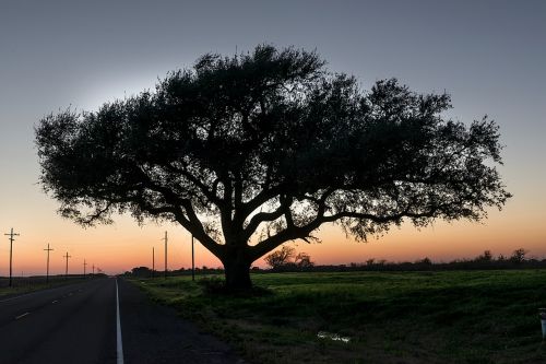 texas road sunset