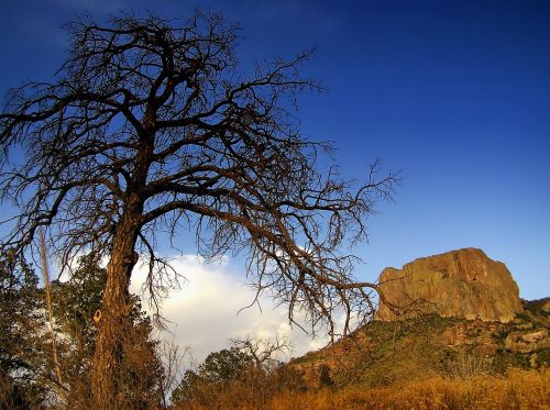 texas landscape scenic