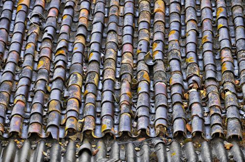 texas roof old building