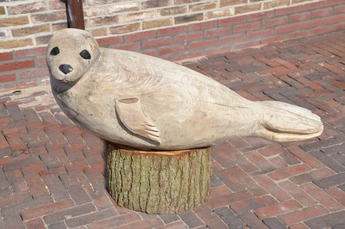 texel robbe carving