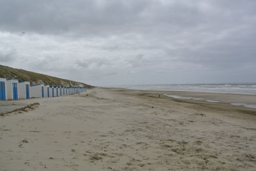 texel beach landscape