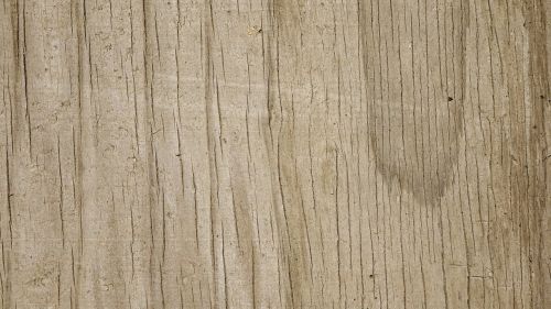 texture background wood