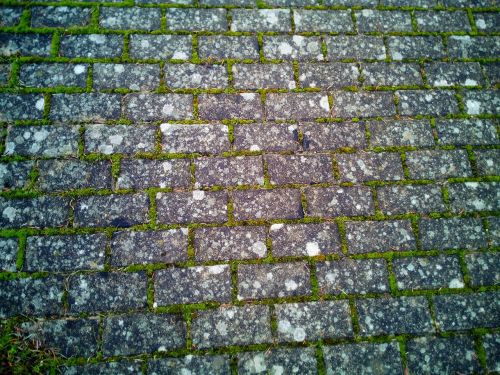 texture paving stones cobble