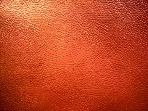 texture leather photo