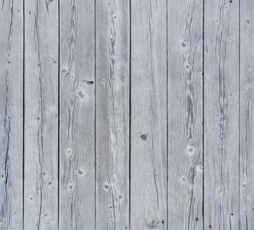 texture wood texture white wood