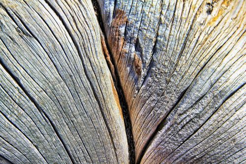 texture wood lines