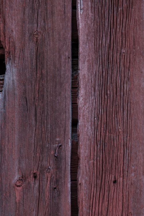texture wood closeup