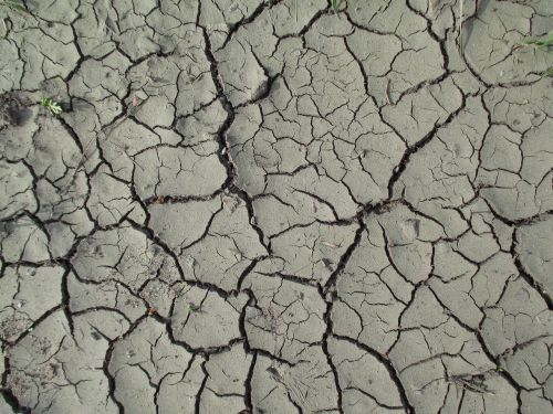 texture nature mud