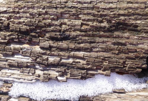 texture wood snow