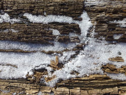 texture wood snow