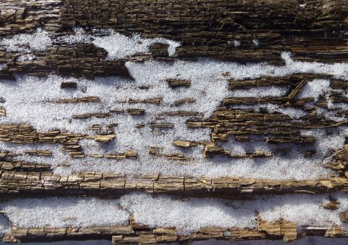 texture wood snow