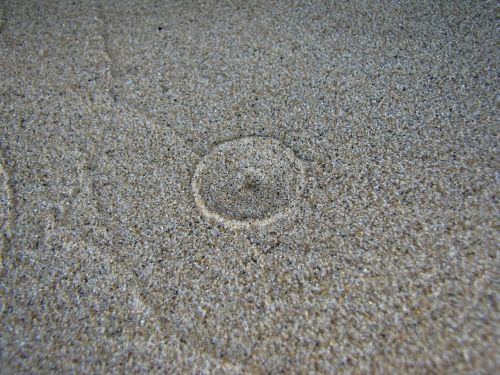 texture sand nature