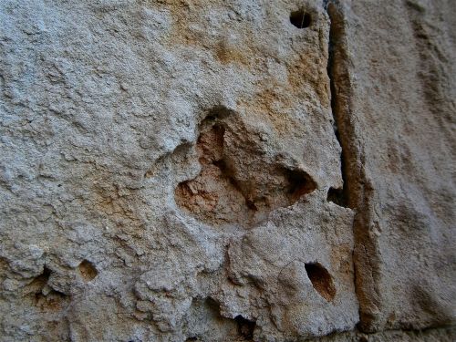 texture stone wall