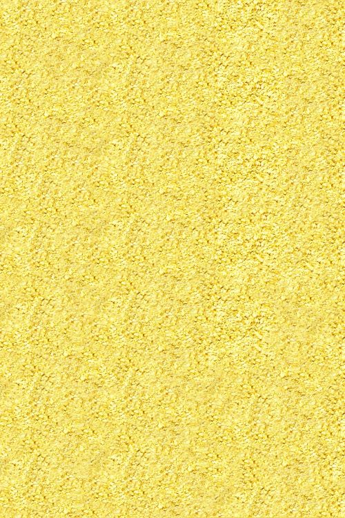 texture corn flour