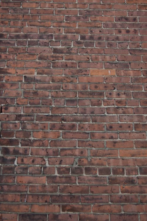 texture background old brick