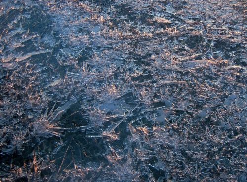 texture ice winter