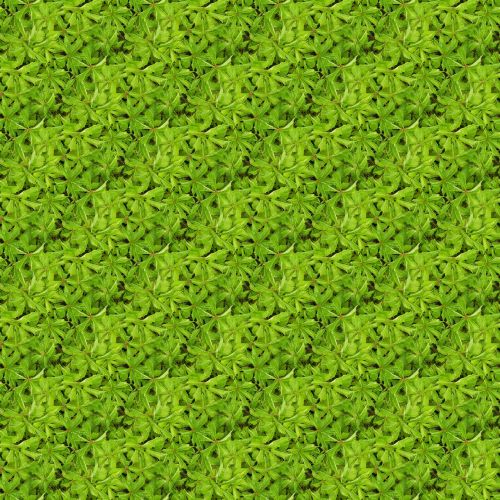 texture seamless plants