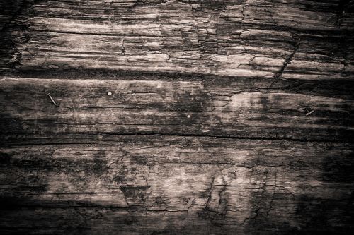 texture wood monochrome