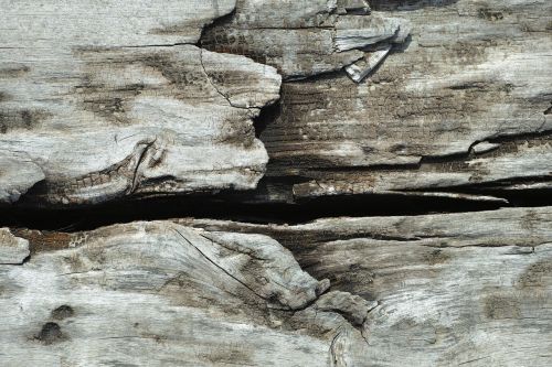 texture wood-fibre boards wood