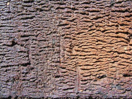 texture stone brick