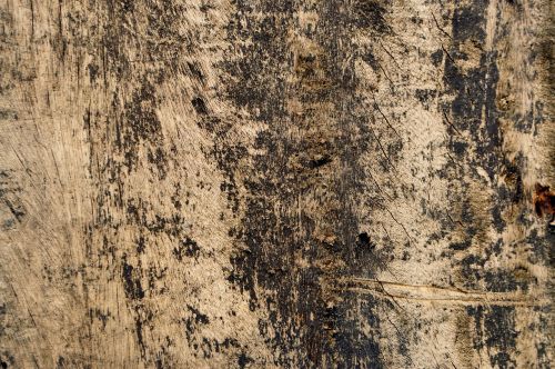 texture wood background