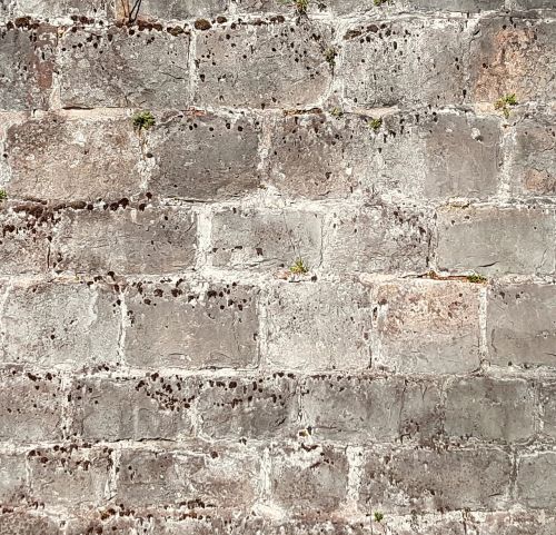 texture background wall