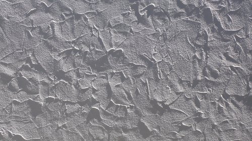 texture  cement  white