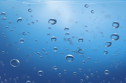 texture  water  aquatic