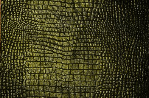 texture  cook  green