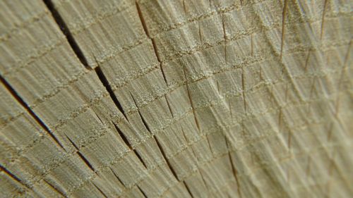 texture wood wooden