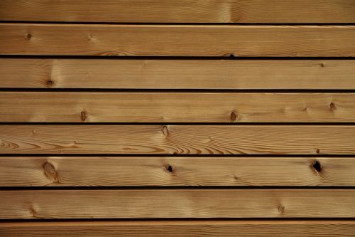 texture wood grain