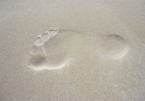 texture sand trail